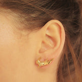 Aretes de liebre saltando vista real